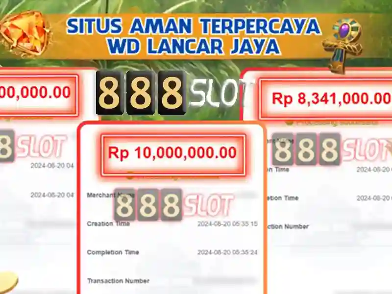 Trải nghiệm người dùng và phản hồi cộng đồng