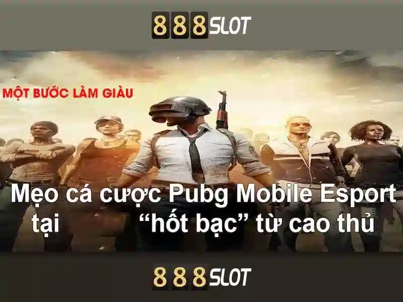 Giao diện và trải nghiệm người dùng