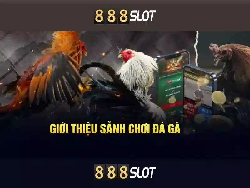 Khám phá 888slot: Nền tảng casino trực tuyến uy tín