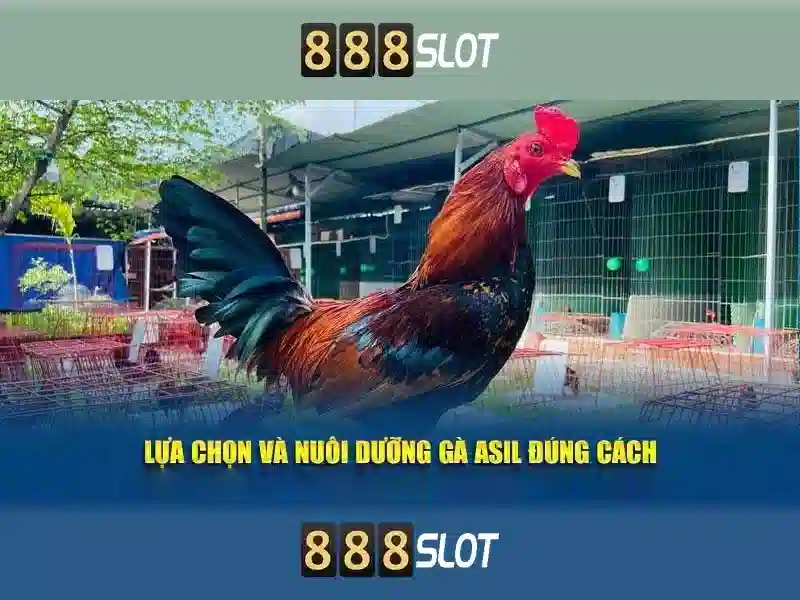 wing 888 slot – khám phá trải nghiệm đỉnh cao