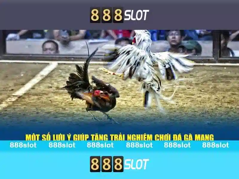 Mẹo chơi bắn cá 3 cây dễ ăn tiền nhà cái