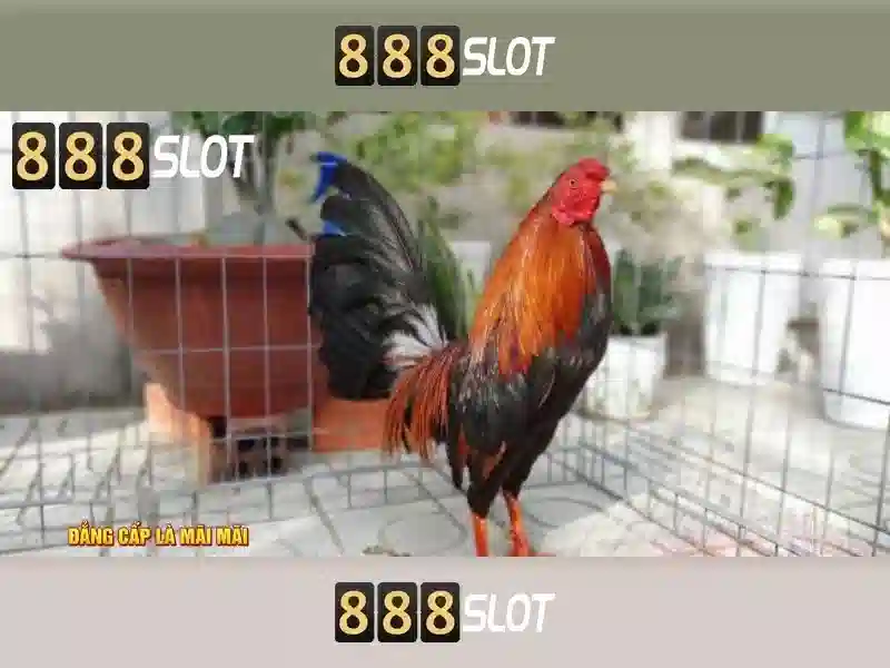 888slot: Nền tảng trò chơi slot trực tuyến đáng tin cậy