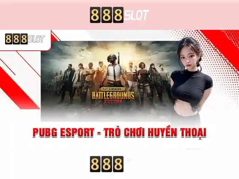 Khuyến mãi và ưu đãi