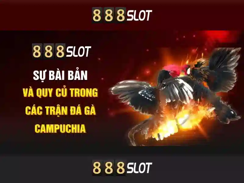888slot - Đánh giá nền tảng casino trực tuyến nổi bật