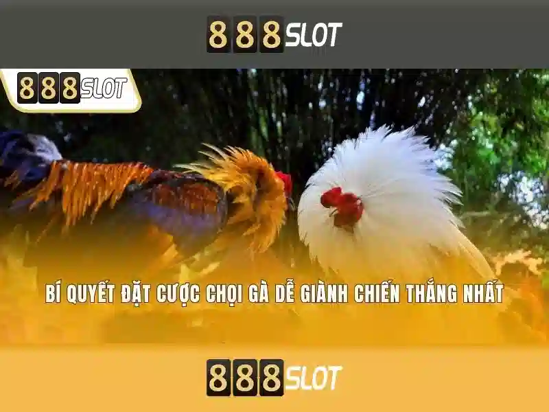 Khả năng thanh toán và an toàn