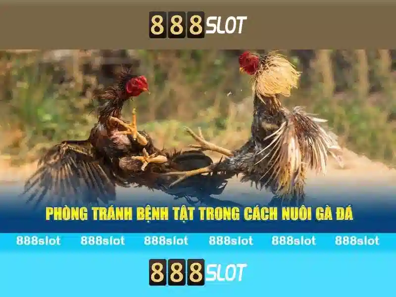 888slot – Nền tảng casino trực tuyến hàng đầu tại thị trường hiện đại