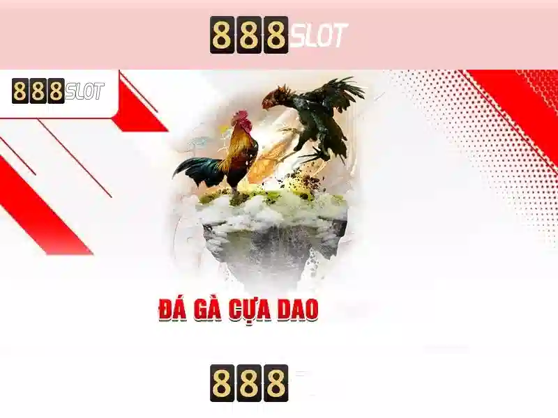 Trải nghiệm người dùng và thiết kế