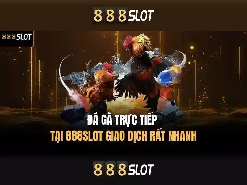 Đối tác và trò chơi\n