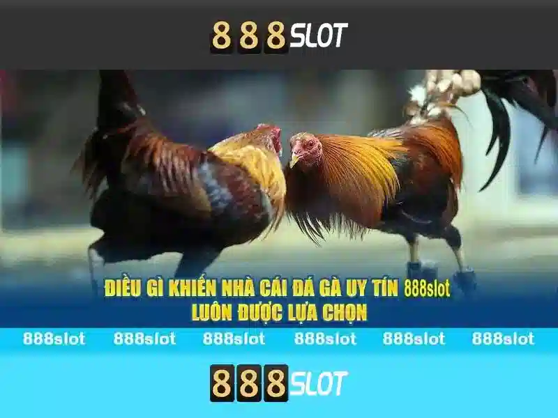 888slot - Đánh giá và trải nghiệm chơi trực tuyến
