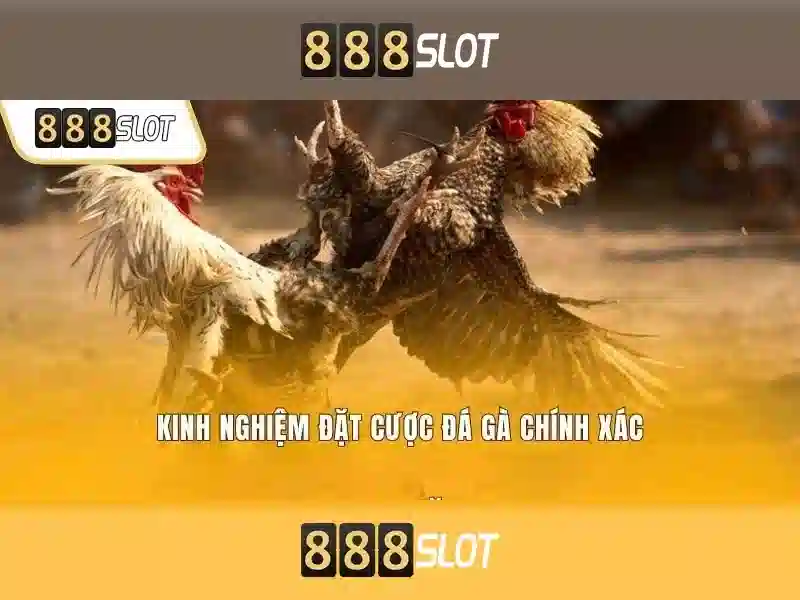 An toàn và pháp lý