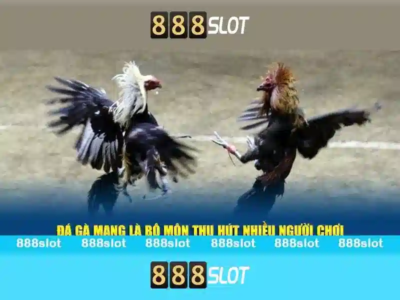 Giao diện và trải nghiệm người dùng