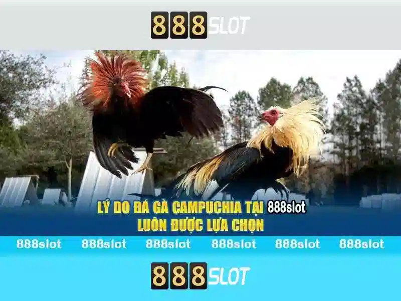 Đánh giá tổng quan về 888slot
