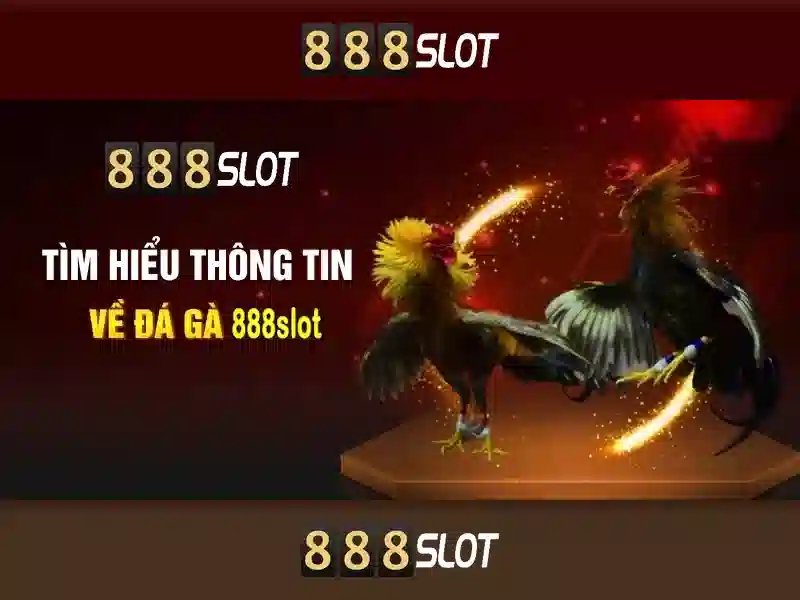 888slot: Đánh giá tổng quan về nền tảng đánh bạc trực tuyến