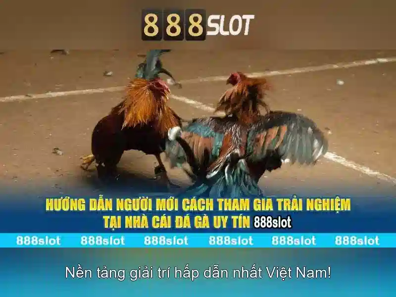 Khuyến mãi, thanh toán và bảo mật\n