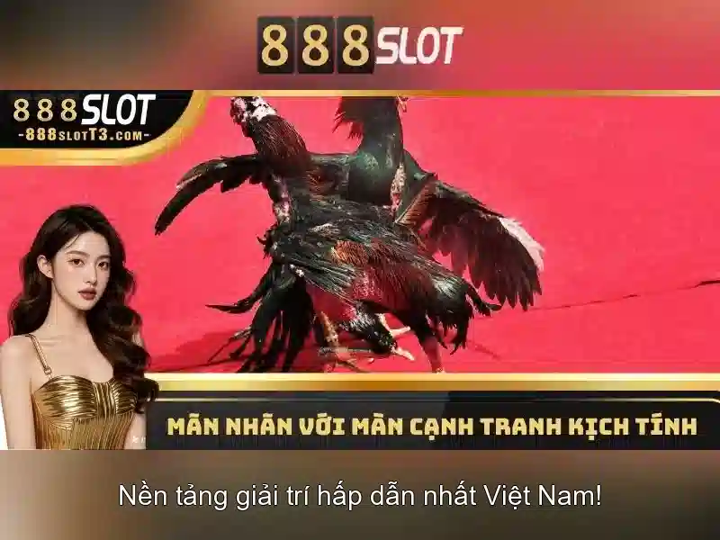 Giới thiệu về 888slot