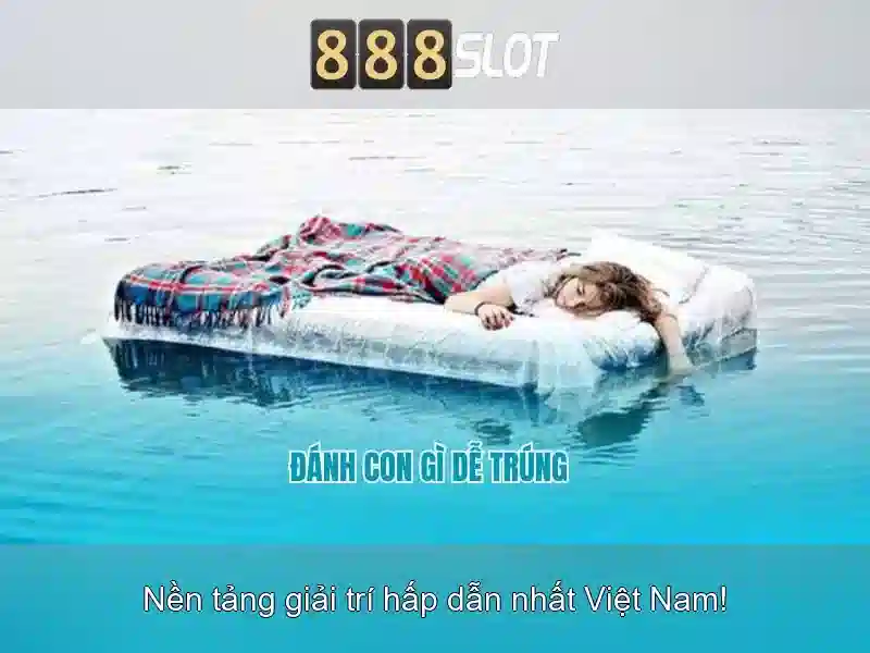 Khuyến mãi và chương trình thưởng