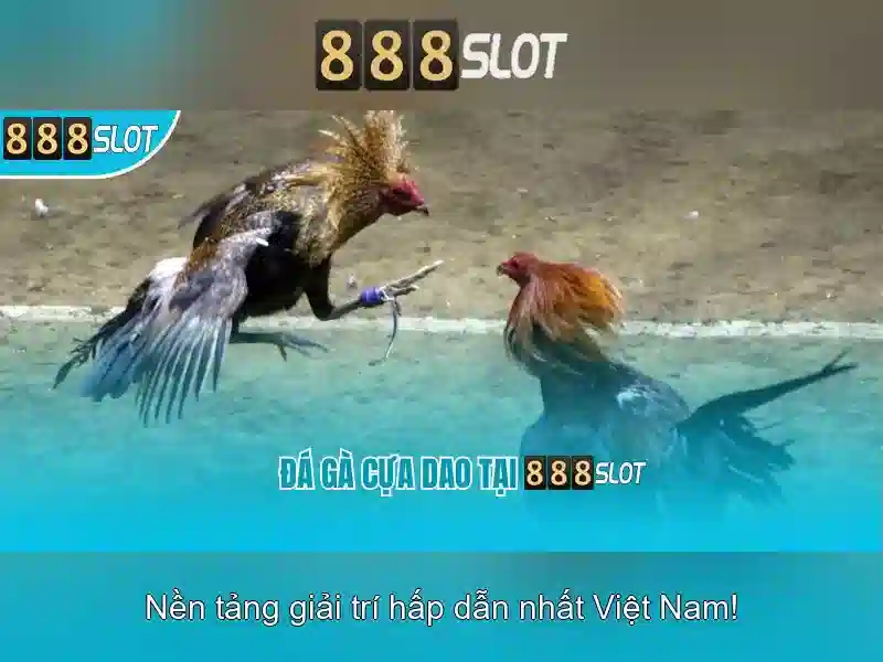 Giới thiệu về 888slot
