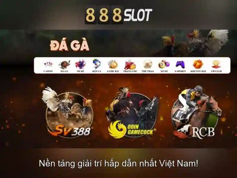 Trải nghiệm người dùng và thiết kế