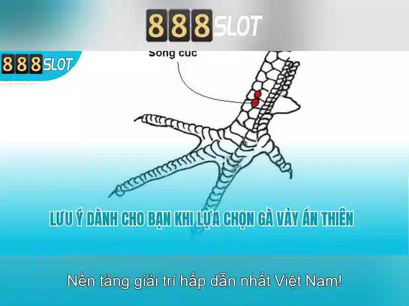 888slot: Sân chơi slot trực tuyến đáng tin cậy