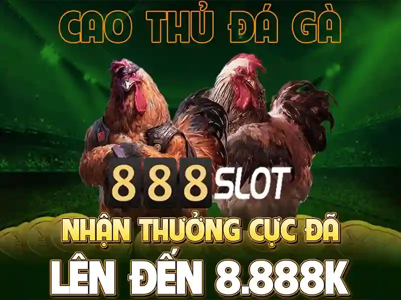 Tong quan ve dieu khoan su dung tai nha cai 888slot